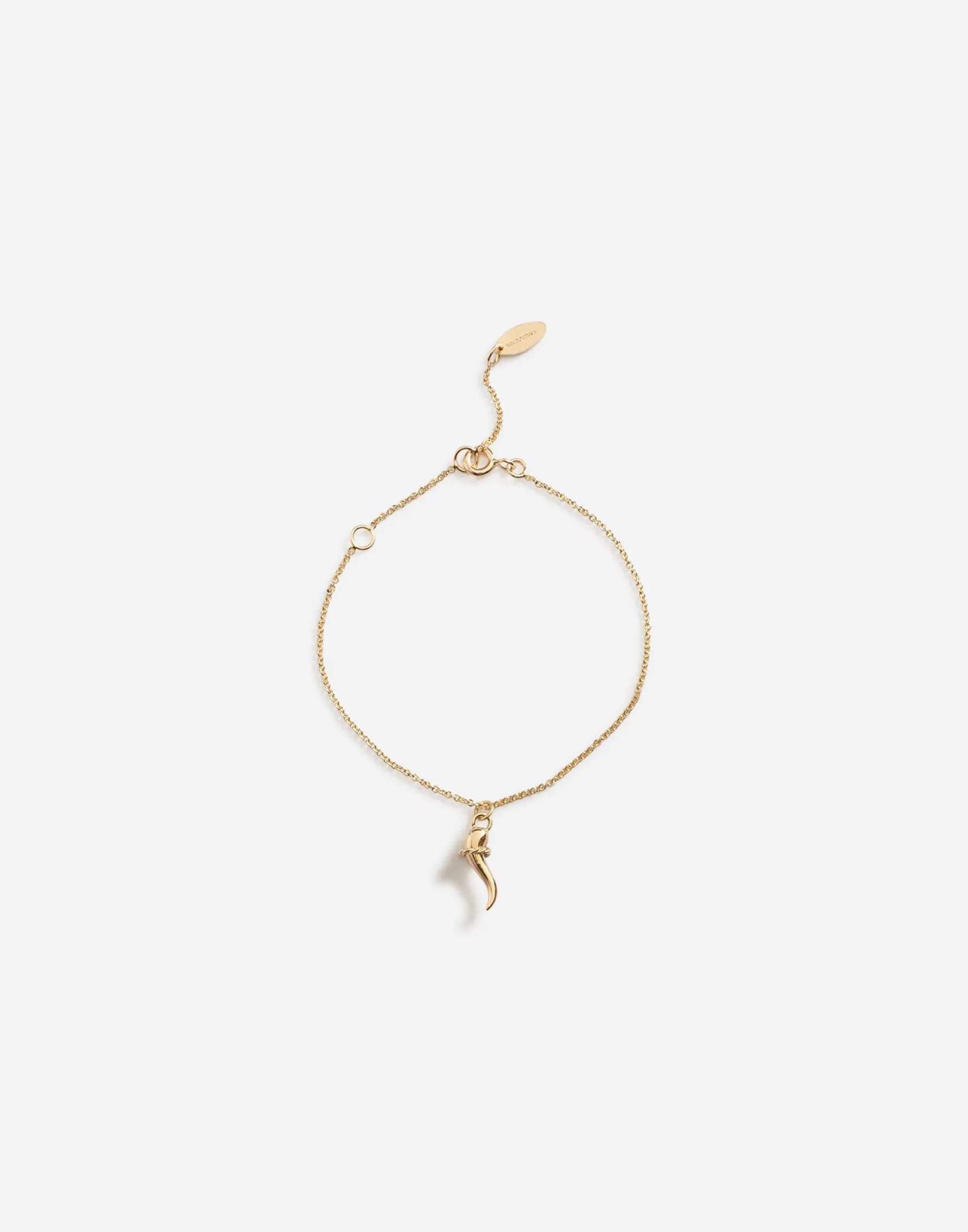 Bracelet with good luck charm