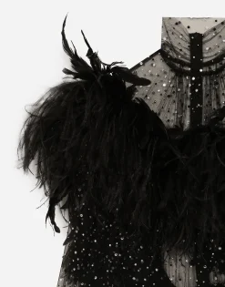 Calf-length stretch tulle dress with fusible rhinestones and rooster and ostrich feather embellishment