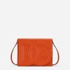Calfskin DG Logo Bag crossbody bag