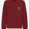 Cotton jersey sweatshirt with embroidery