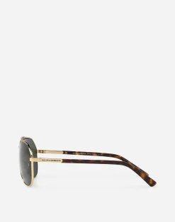 DNA sunglasses