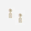 Earrings with DG logo and tag