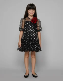 Embroidered tulle dress with sequins