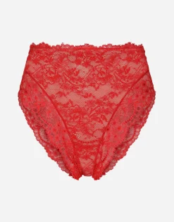 High-waisted lace briefs