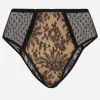High-waisted plumetis lace panties