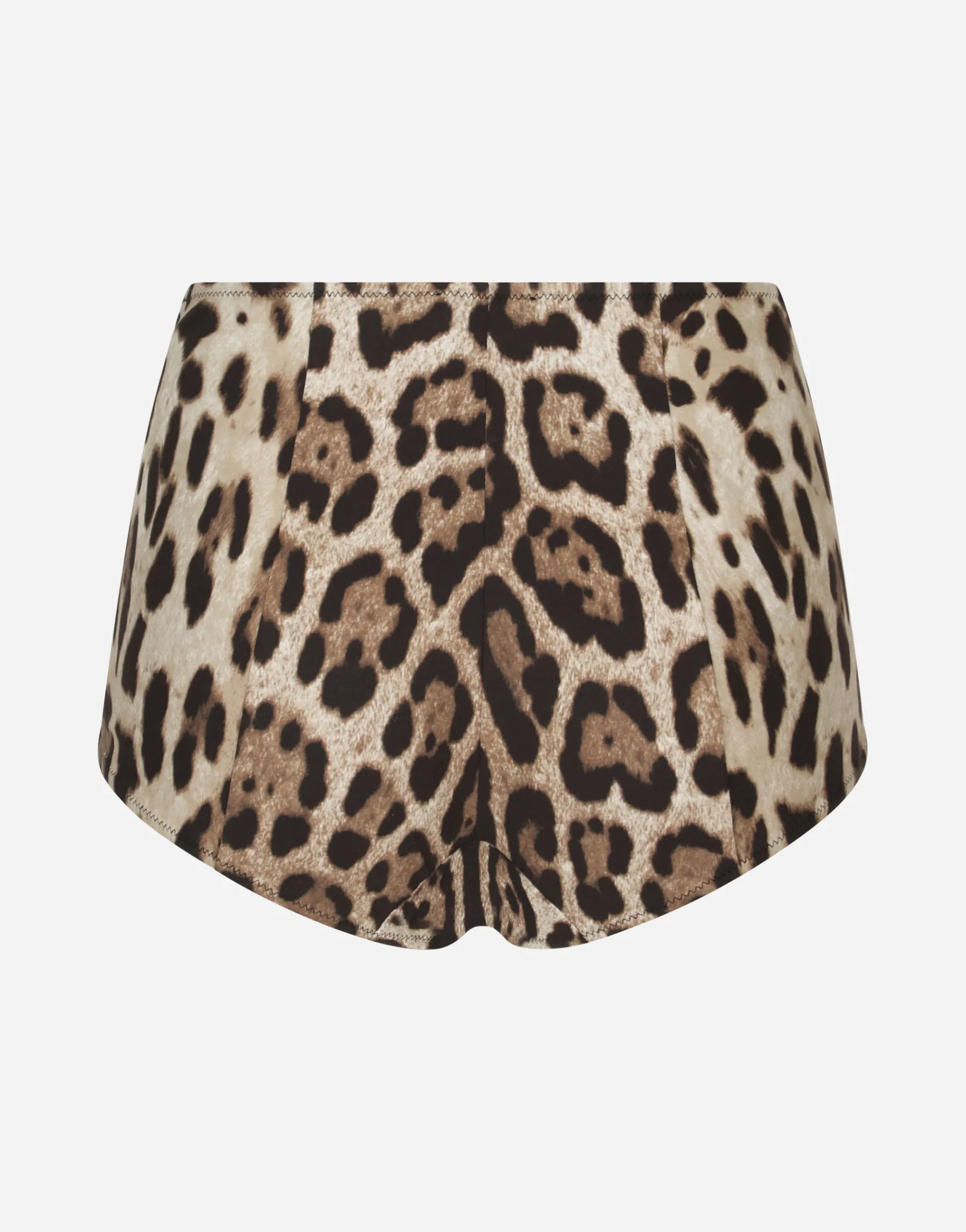 Leopard-print high-waisted bikini bottoms