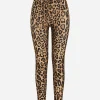 Leopard-print spandex/jersey leggings