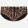 Leopard-print swim briefs