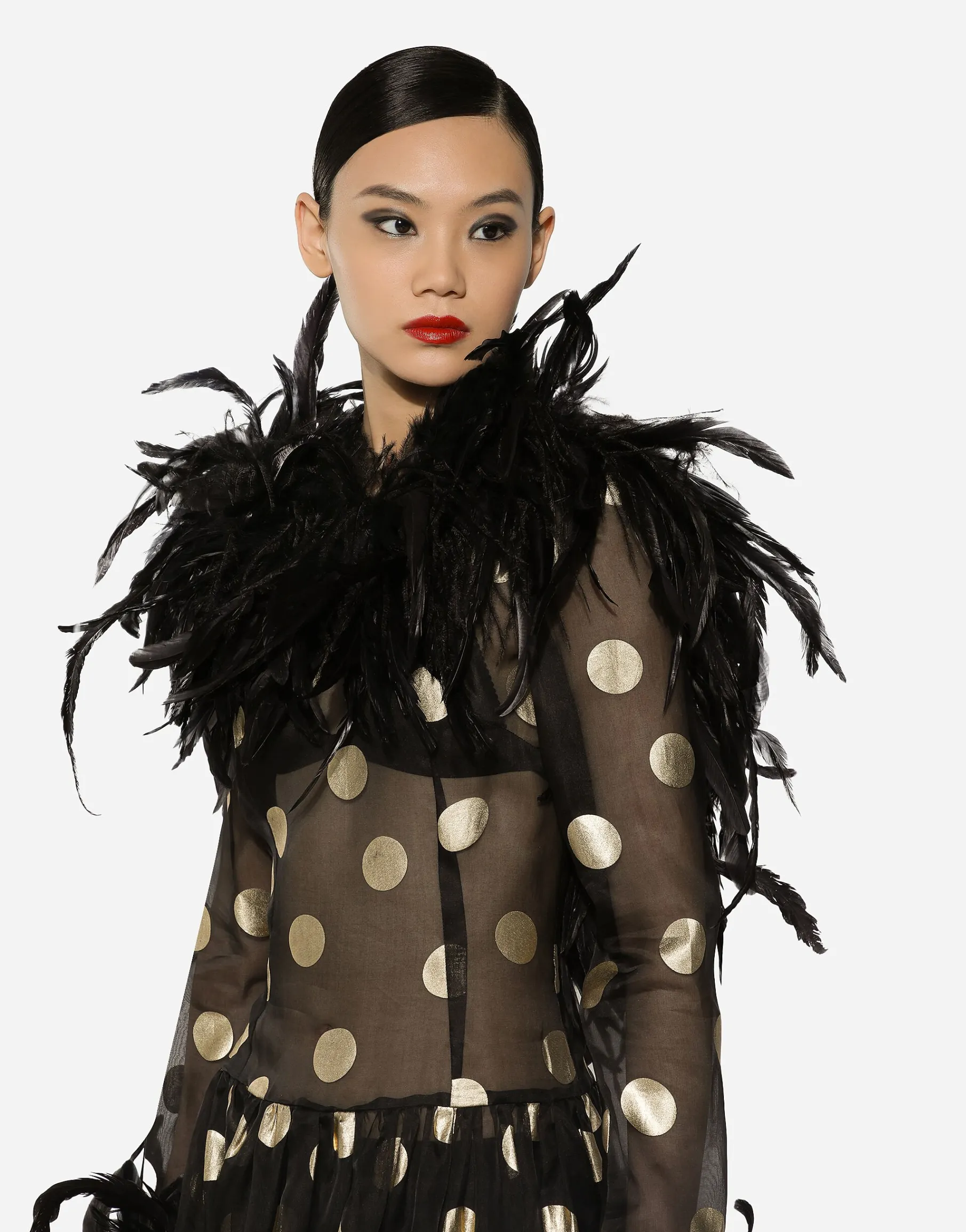 Long polka-dot silk organza dress with feathered details