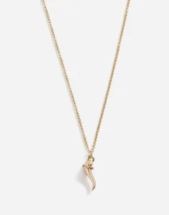 Necklace with good luck charm