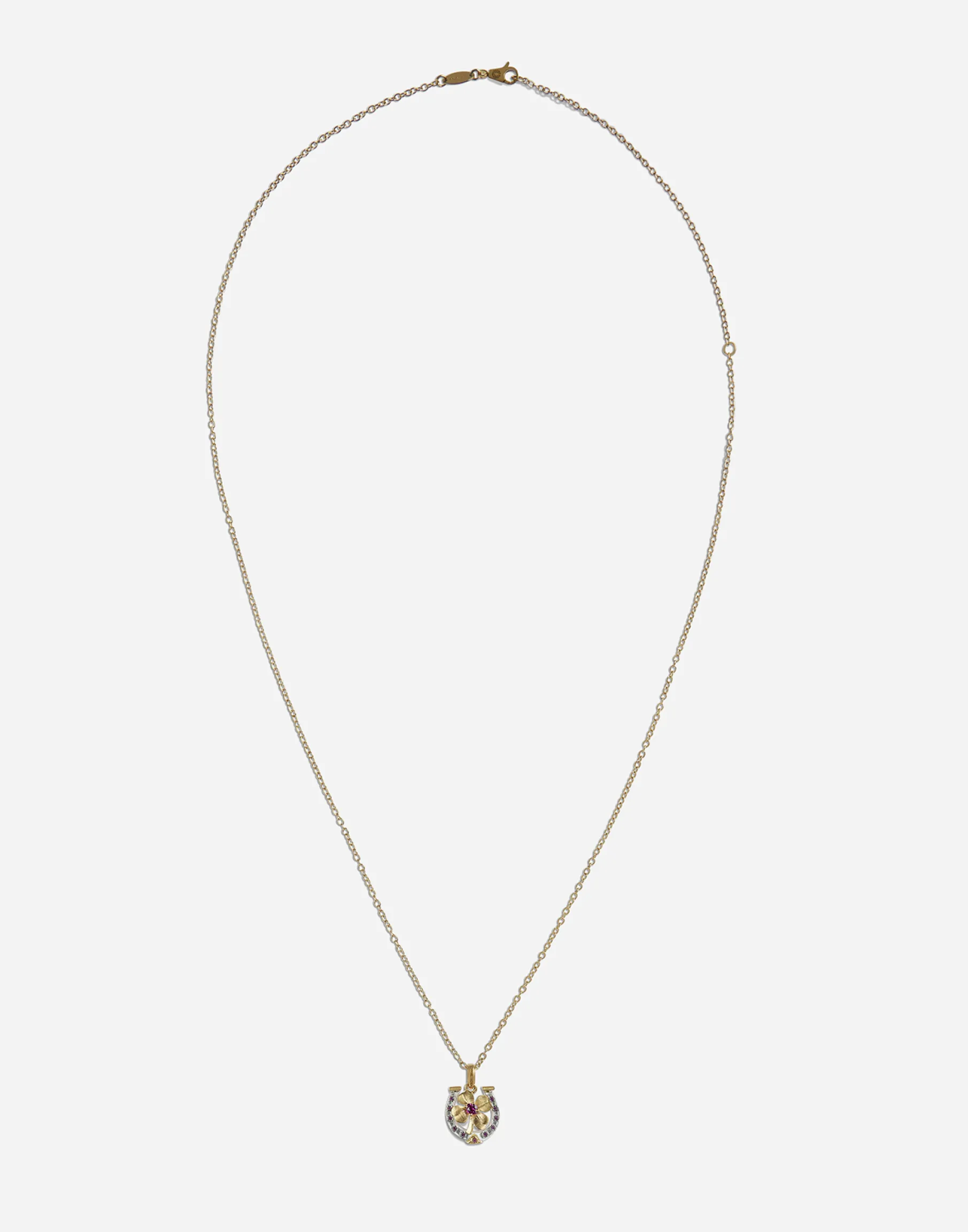 Necklace with good luck charm