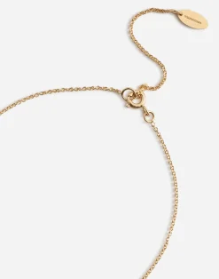 Necklace with good luck charm