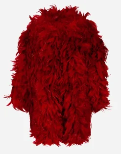 Organza coat with rooster feather embellishment