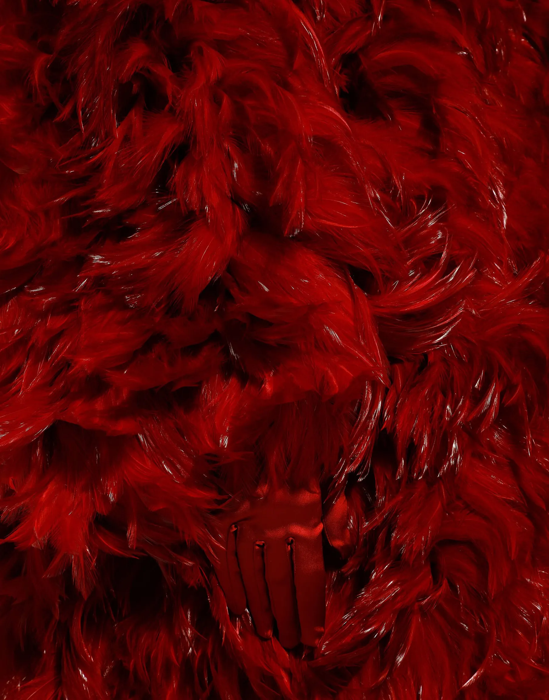 Organza coat with rooster feather embellishment