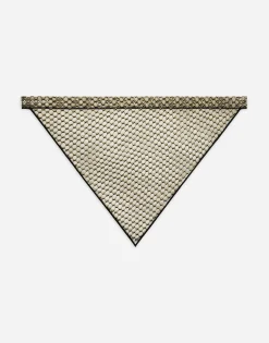 PVC triangle veil