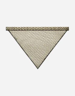 PVC triangle veil