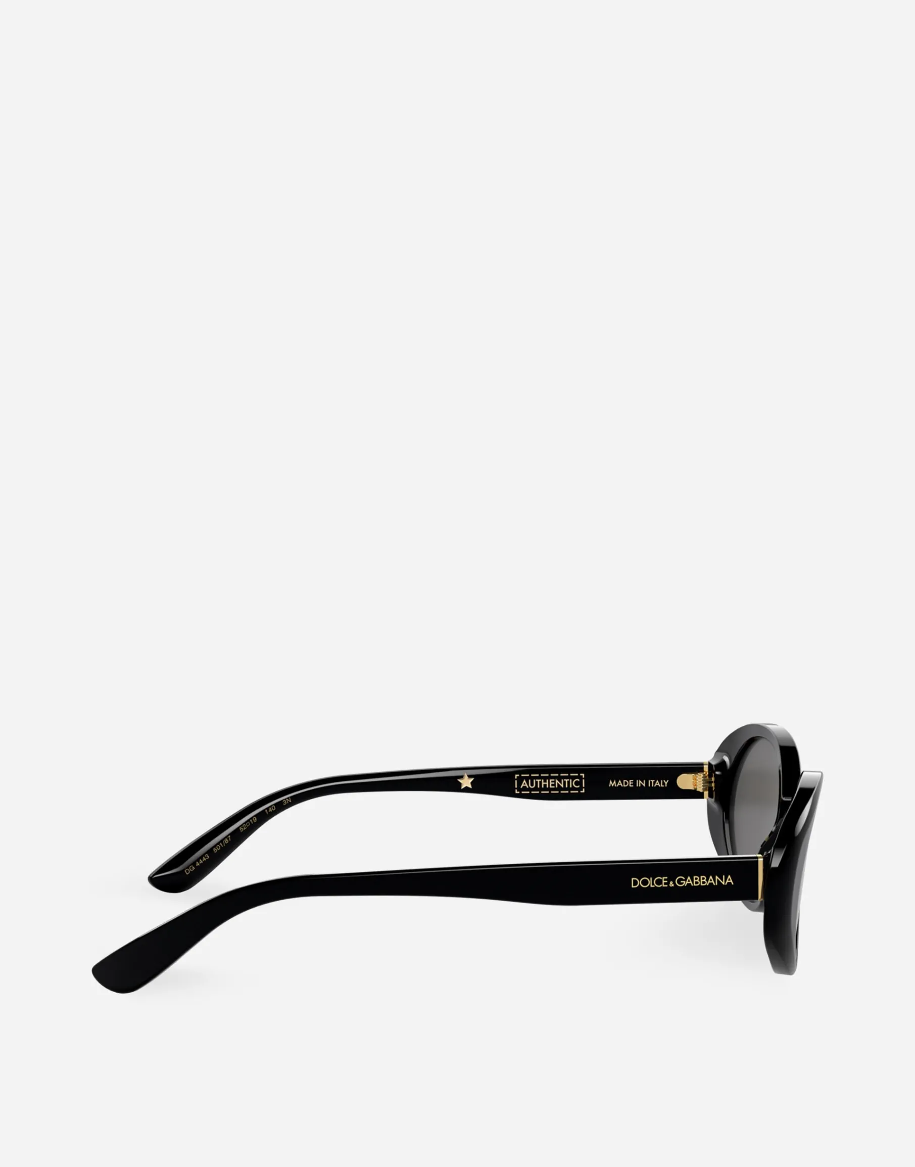 Re-Edition Dna Sunglasses