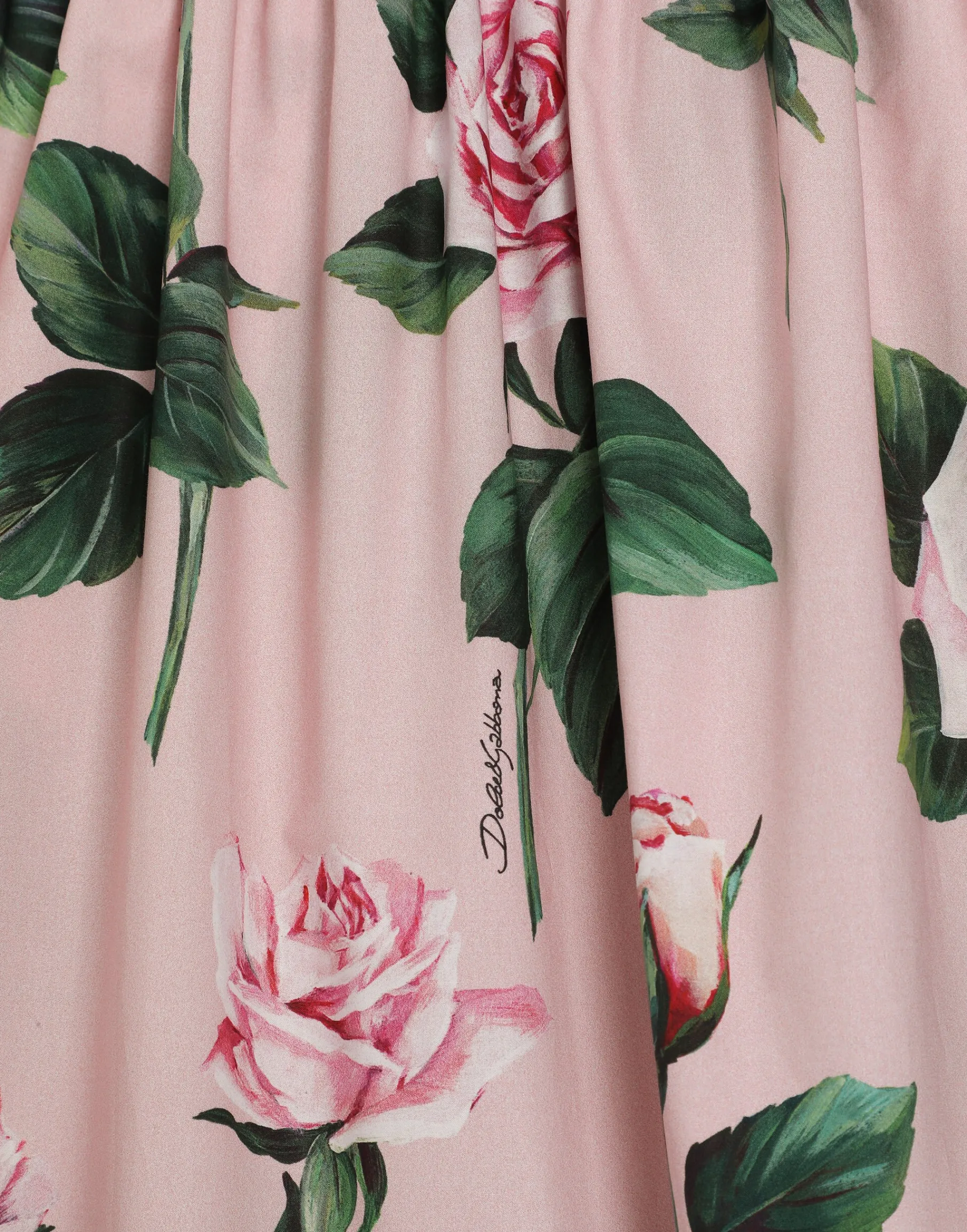Rose-print poplin dress