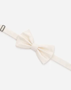Silk bow tie